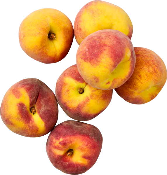 Pesche