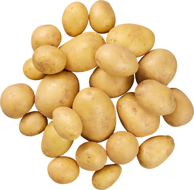 Baby patate in cestino