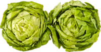 Kopfsalatherzen