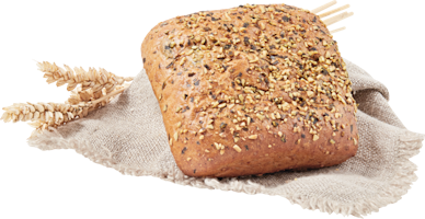 Petit pain aux graines de courge IP-SUISSE