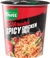 Knorr Asia Noodles Spicy Chicken Taste