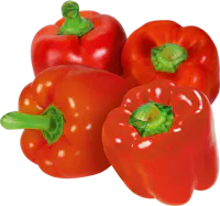 Peperoni rot