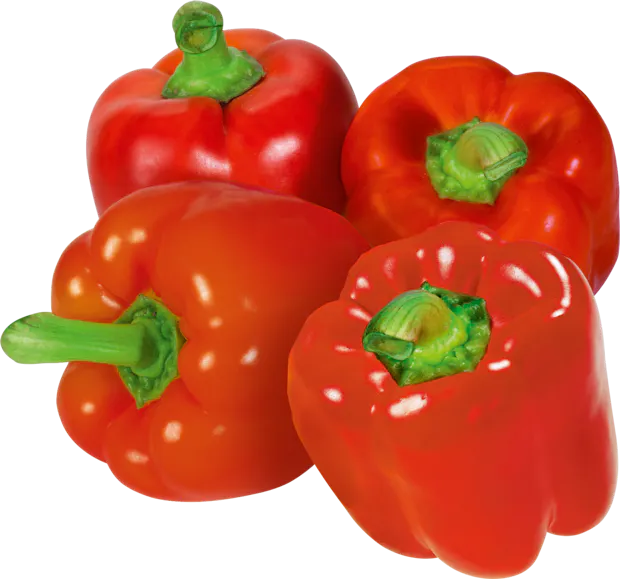 Peperoni rot