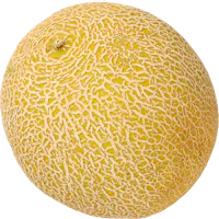 Melone Galia