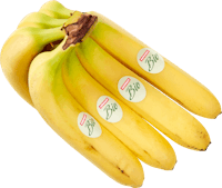 Banane bio
