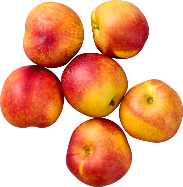 Nectarines