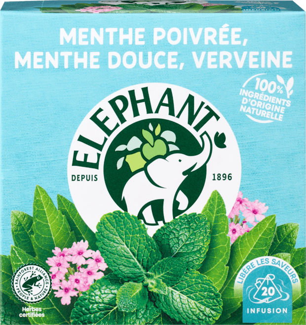 Infusion Menthe Verveine Eléphant