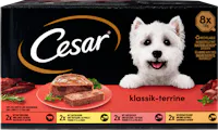 Cesar Hundefutter Klassik-Terrine