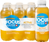 Focus Water Active Ananas & Mangue