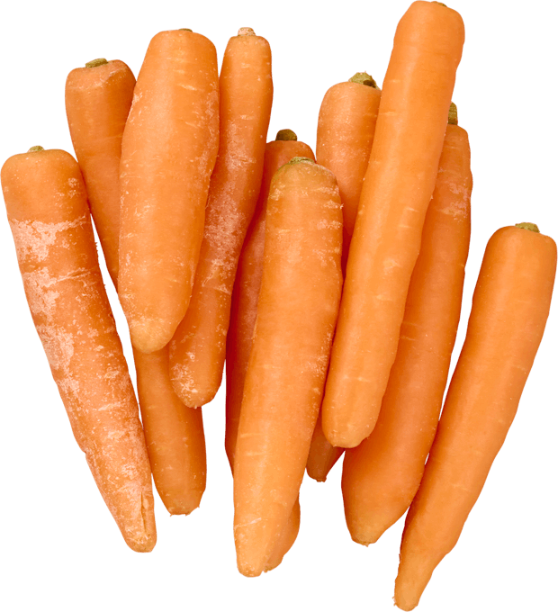 Carottes IP-SUISSE