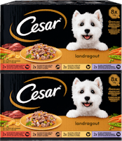 Cibo per cani Ragù di campagna in salsa Cesar