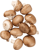 Champignons
