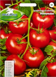 Semences de tomates Moneymaker