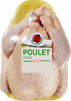 Pollo IP-SUISSE