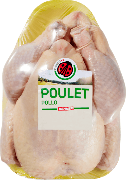 Pollo IP-SUISSE 
