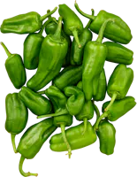 Pimientos de Padrón