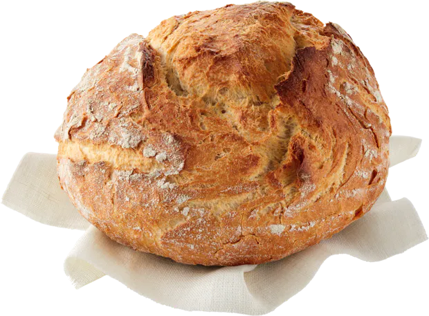 Pane cotto nel forno a legna IP-SUISSE