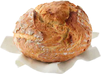 Pane cotto nel forno a legna IP-SUISSE