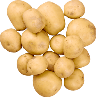 IP-SUISSE Raclettekartoffeln