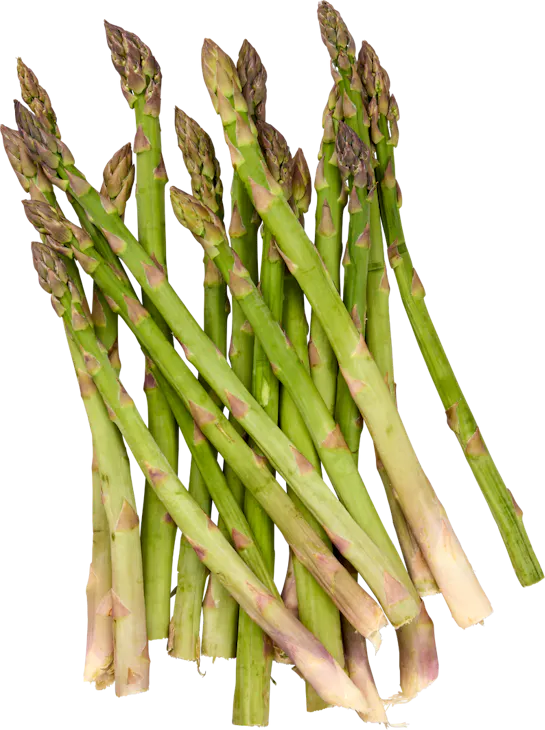 Asperges vertes