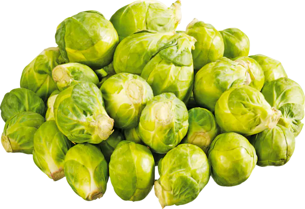 Choux de Bruxelles