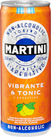 Martini Aperitivo Vibrante & Tonic