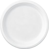 Assiettes en canne à sucre