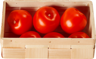 Peretti Tomaten