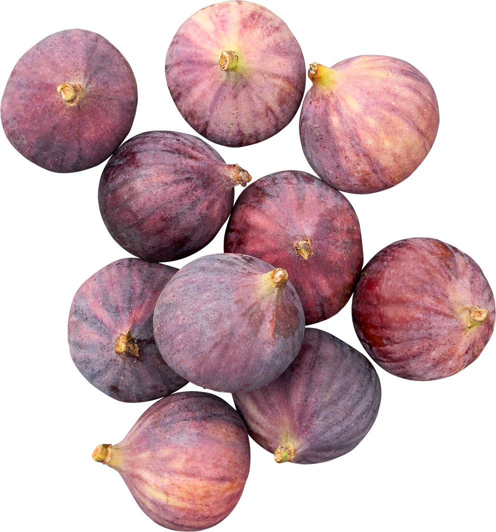 Feigen