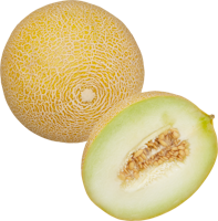 Melone Galia