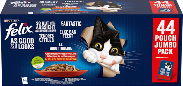 Felix Aussi bon que beau