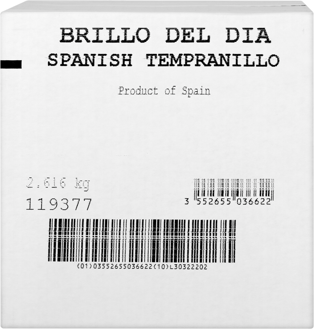 Brillo del Dia Tempranillo Vin d'Espagne PET  (Andere)