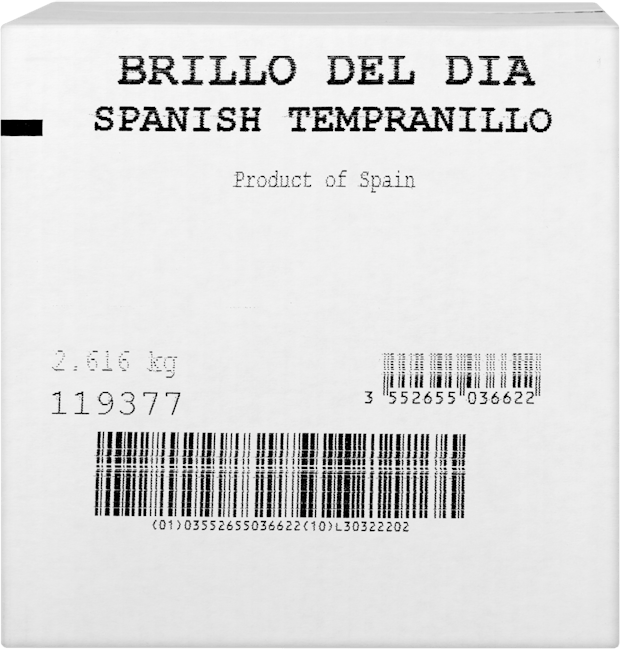 Brillo del Dia Tempranillo Vin d'Espagne PET