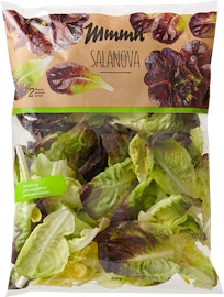 Mmmh Salat Salanova rot Mmmh Salat Salanova rot