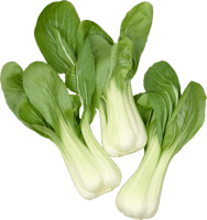 Pak Choi