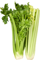 Céleri en branche