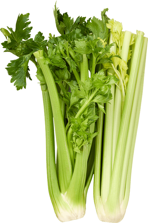 Céleri en branche