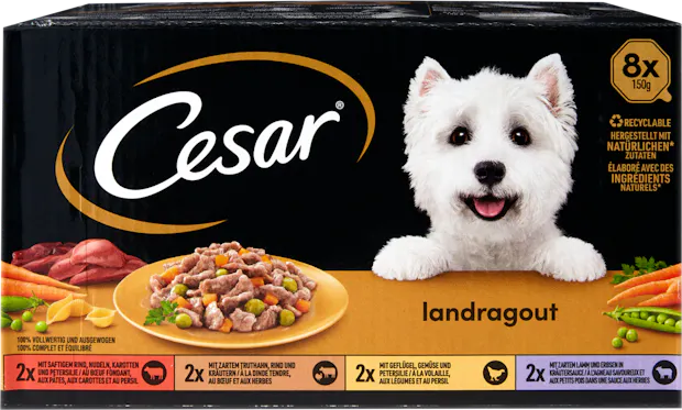 Cesar Hundefutter Landragout in Sauce