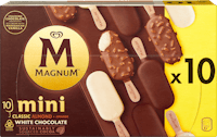 Gelato mini Magnum