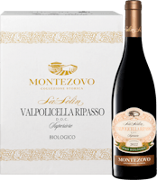 Bio Monte Zovo Sa’ Solin Ripasso della Valpolicella DOC Superiore