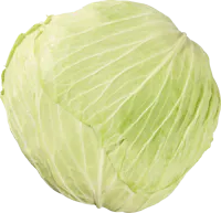 Sarma Kabis Offenverkauf