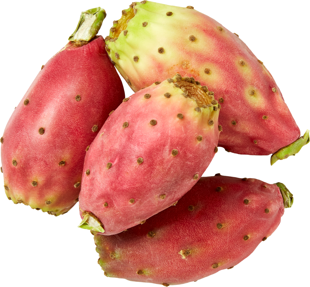 Kaktusfeigen