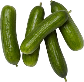 Snack-Gurken Snack-Gurken