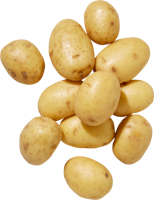 Pommes de terre farineuses IP-SUISSE
