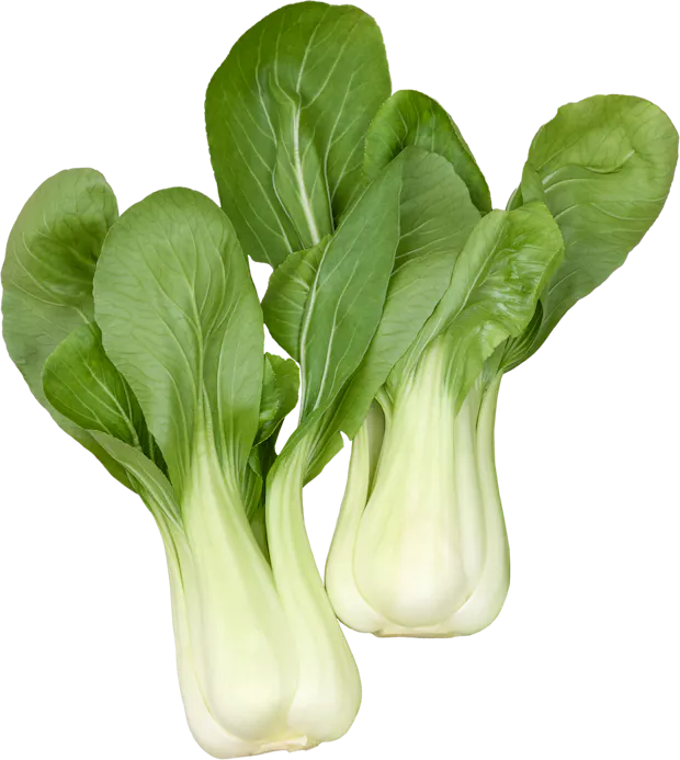 Pak Choi
