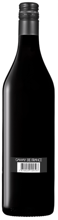 Louis Pierre Gamay de France