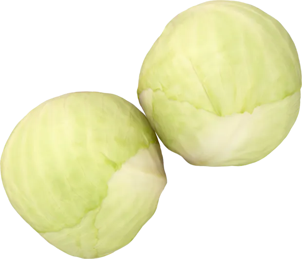 IP-Suisse Chou blanc
