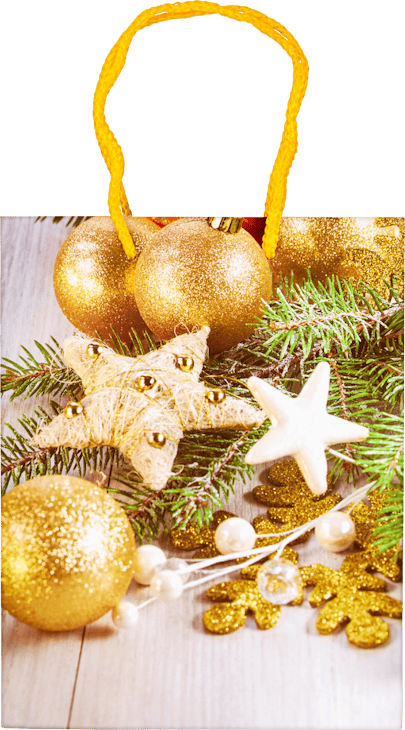 Busta regalo natalizia media