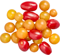 Pomodori datterini Mix IP-SUISSE
