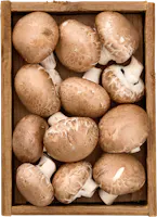 Champignons